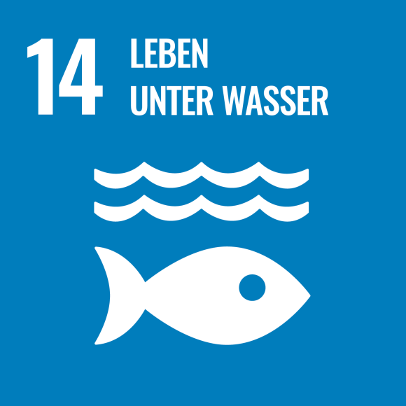 14. Leben unter Wasser