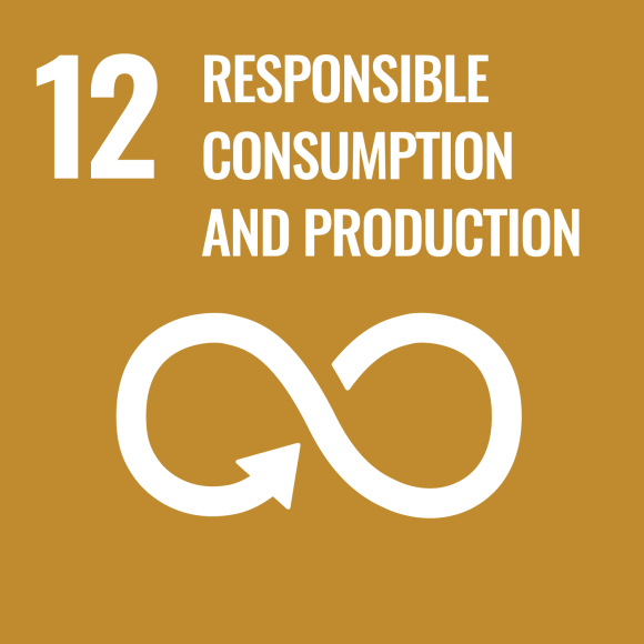 12. Responible consumption and production 12. Responible consumption and production