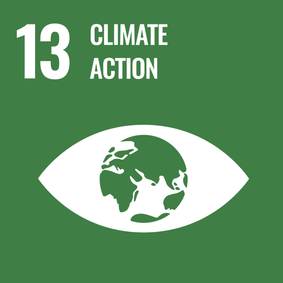 13. Climate action 13. Climate action