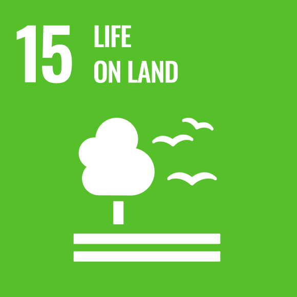 15. Life on land 15. Life on land