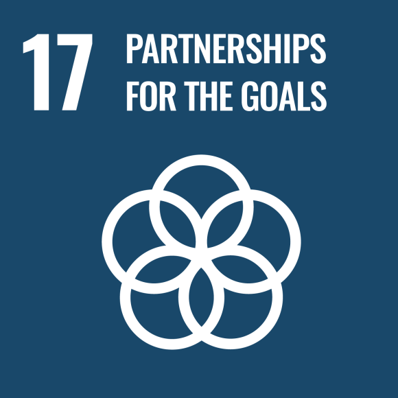 17. Partnerships for goals 17. Partnerships for goals